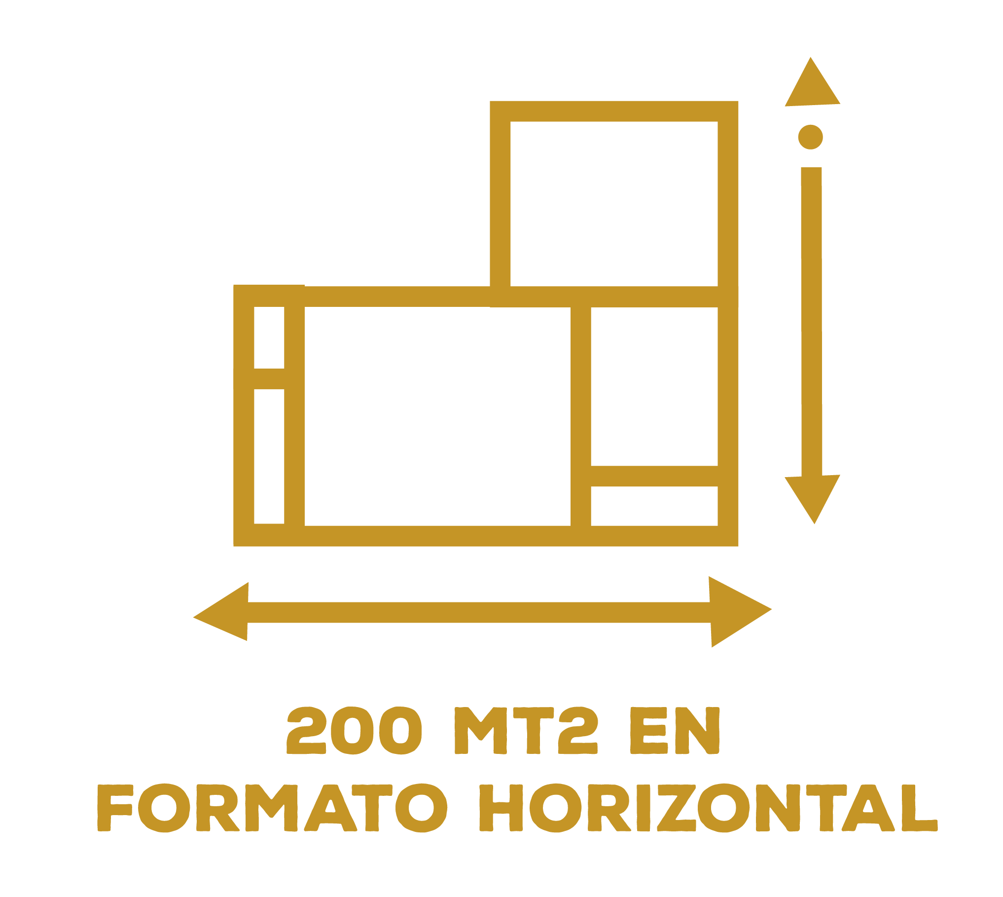 VECTORES_Mesa de trabajo 1 copia 5